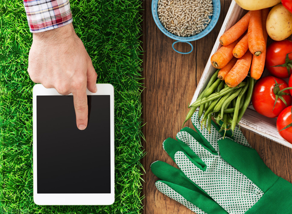 2022年，智慧農(nóng)業(yè)的熱度會(huì)降低嗎？