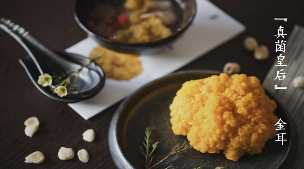 云笈生態(tài)∣“真菌皇后”金耳的營(yíng)養(yǎng)價(jià)值與各種吃法科普